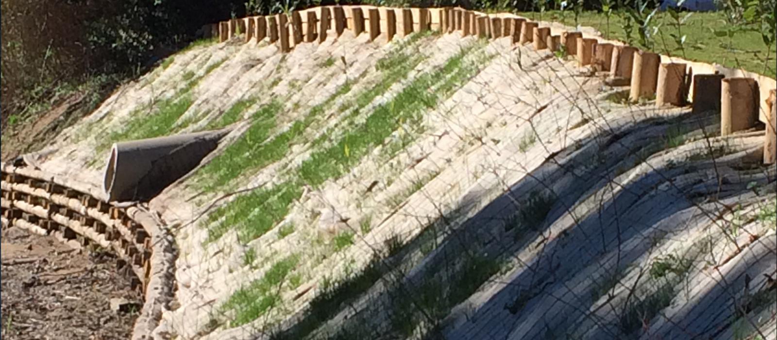 Aménagement de berges avec caissons végétalisés à Sainte Maxime